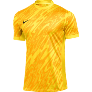 Póló Nike M NK DF GARDIEN V GK JSY SS kép