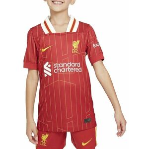 Póló Nike LFC Y NK DF JSY SS STAD HM 2024/25 kép