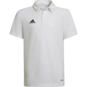 Pólóing adidas ENT22 POLO Y kép