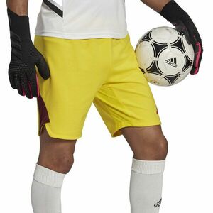 Rövidnadrág adidas T23 P GK SHO kép