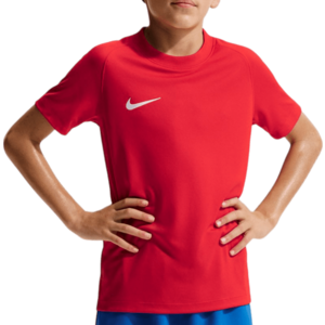 Póló Nike Dri-FIT Park VIII Kids kép