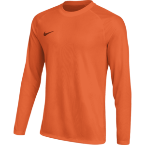 Hosszú ujjú póló Nike Dri-FIT Park VIII Long Sleeve kép