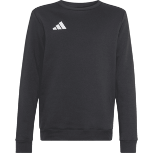 Melegítő felsők adidas Entrada 26 Sweat Kids kép