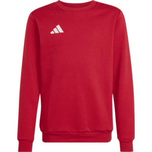 Melegítő felsők adidas Entrada 26 Sweat Kids kép