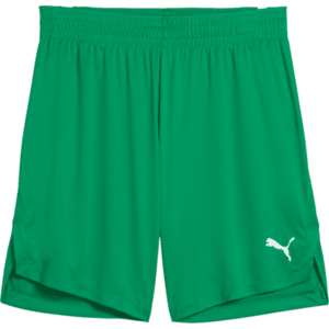 Rövidnadrág Puma Teamjaws Starter Short kép