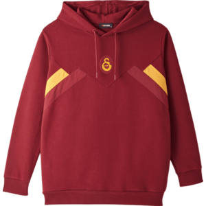 Kapucnis melegítő felsők Puma Galatasaray Istanbul Hoody kép