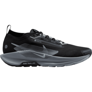 Terepfutó cipők Nike Pegasus Trail 5 GORE-TEX kép