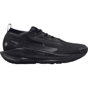 Terepfutó cipők Nike Pegasus Trail 5 GORE-TEX kép