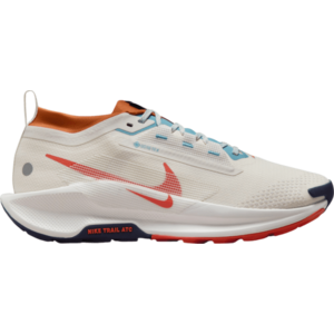 Terepfutó cipők Nike Pegasus Trail 5 GORE-TEX kép