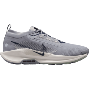 Terepfutó cipők Nike Pegasus Trail 5 GORE-TEX kép