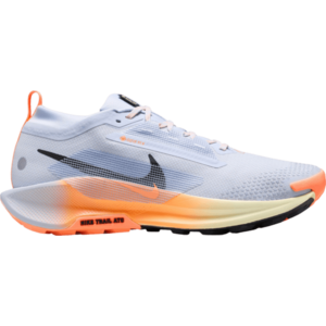 Terepfutó cipők Nike Pegasus Trail 5 GORE-TEX kép