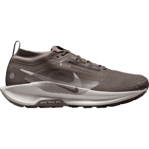 Terepfutó cipők Nike Pegasus Trail 5 GORE-TEX kép