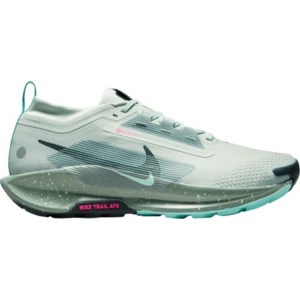 Terepfutó cipők Nike Pegasus Trail 5 GORE-TEX kép