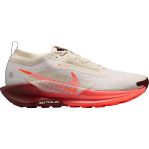 Terepfutó cipők Nike Pegasus Trail 5 GORE-TEX kép