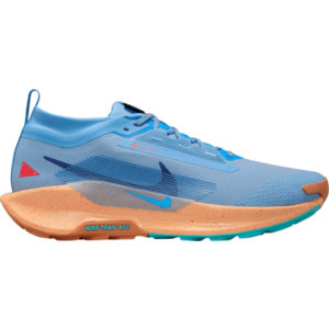 Terepfutó cipők Nike Pegasus Trail 5 GORE-TEX kép