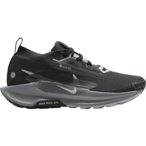 Terepfutó cipők Nike Pegasus Trail 5 GORE-TEX kép