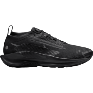 Terepfutó cipők Nike Pegasus Trail 5 GORE-TEX kép