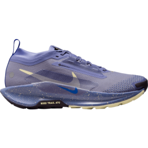 Terepfutó cipők Nike Pegasus Trail 5 GORE-TEX kép