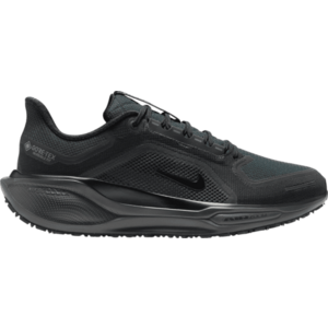 Futócipők Nike Pegasus 41 GORE-TEX kép