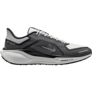 Futócipők Nike Pegasus 41 GORE-TEX kép