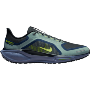 Futócipők Nike Pegasus 41 GORE-TEX kép