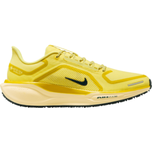 Futócipők Nike Pegasus 41 GORE-TEX kép