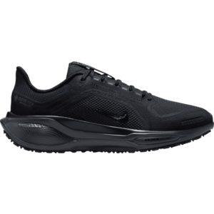 Futócipők Nike Pegasus 41 GORE-TEX kép