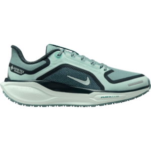 Futócipők Nike Pegasus 41 GORE-TEX kép