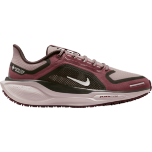 Futócipők Nike Pegasus 41 GORE-TEX kép