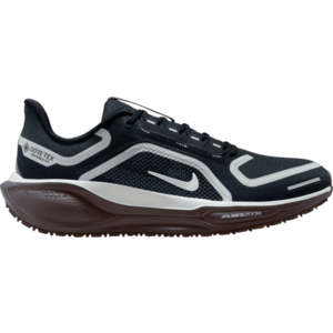 Futócipők Nike Pegasus 41 GORE-TEX kép