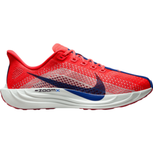 Futócipők Nike Pegasus Plus kép