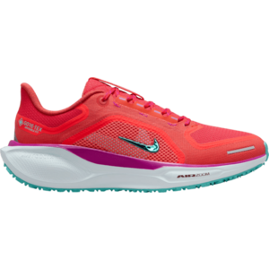 Futócipők Nike Pegasus 41 GORE-TEX kép