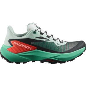 Terepfutó cipők Salomon GENESIS W kép