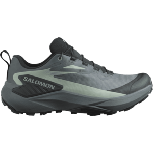 Terepfutó cipők Salomon GENESIS GTX W kép