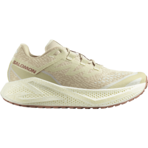 Futócipők Salomon AERO GLIDE 3 GRVL kép