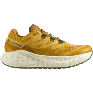 Futócipők Salomon AERO GLIDE 3 GRVL kép