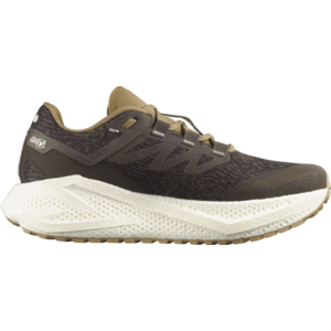 Futócipők Salomon AERO GLIDE 3 GRVL kép