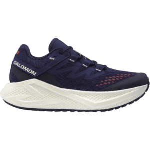 Futócipők Salomon AERO GLIDE 3 GRVL W kép