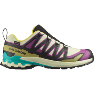 Terepfutó cipők Salomon XA PRO 3D V9 GTX kép