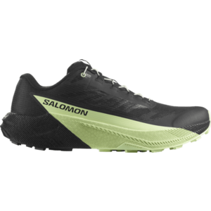 Terepfutó cipők Salomon PULSAR kép
