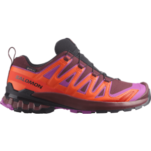 Terepfutó cipők Salomon XA PRO 3D V9 GTX W kép