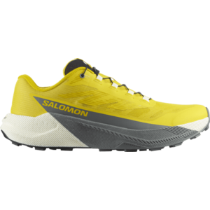 Terepfutó cipők Salomon PULSAR kép