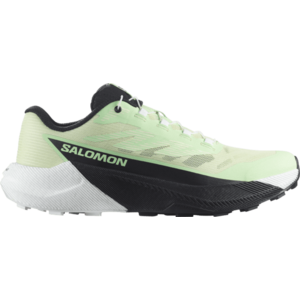 Terepfutó cipők Salomon PULSAR W kép