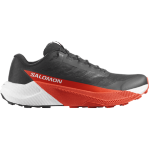 Terepfutó cipők Salomon PULSAR kép