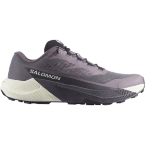 Terepfutó cipők Salomon PULSAR W kép