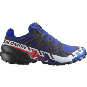 Terepfutó cipők Salomon SPEEDCROSS 6 GTX EQUIPE kép