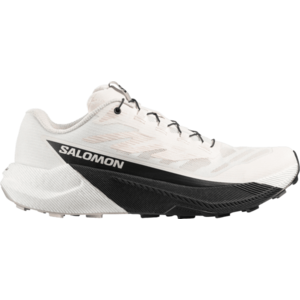 Terepfutó cipők Salomon PULSAR kép