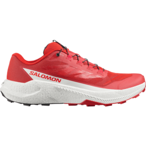 Terepfutó cipők Salomon PULSAR kép