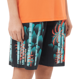 Rövidnadrág Salomon SHORTNEY 10" SHORTS W LTD COURTNEY kép