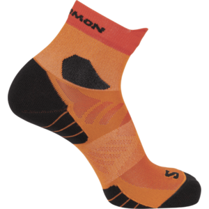 Zoknik Salomon AERO ANKLE kép